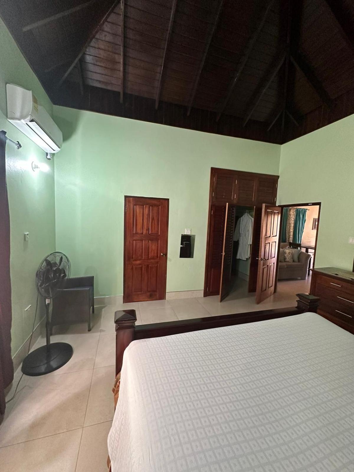White House By White River Ocho Rios Exterior photo